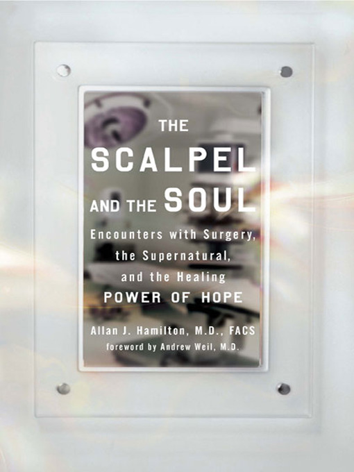 Title details for The Scalpel and the Soul by Allan J. Hamilton, MD, FACS - Wait list